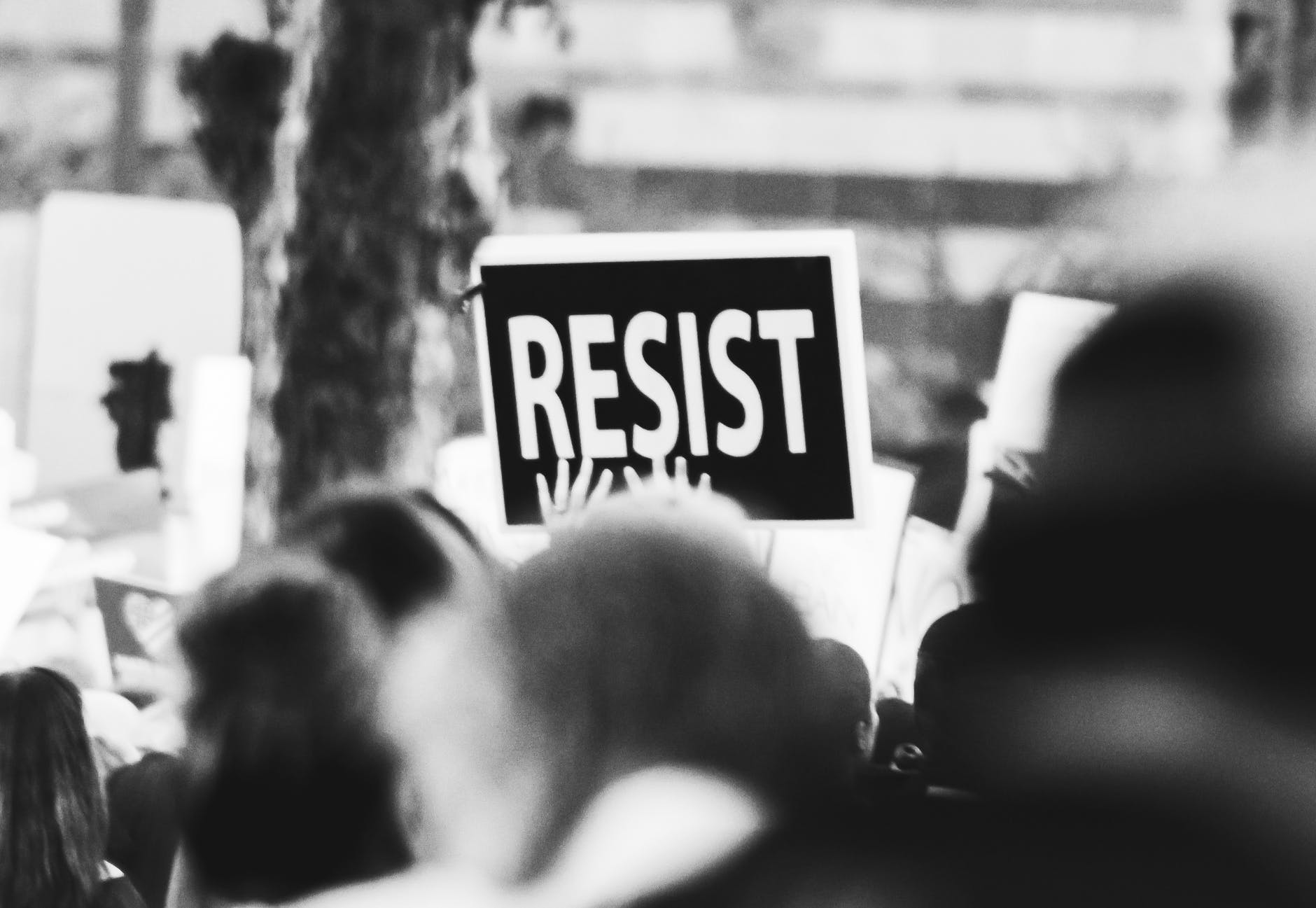 Student Movements in the Time of the Revolution