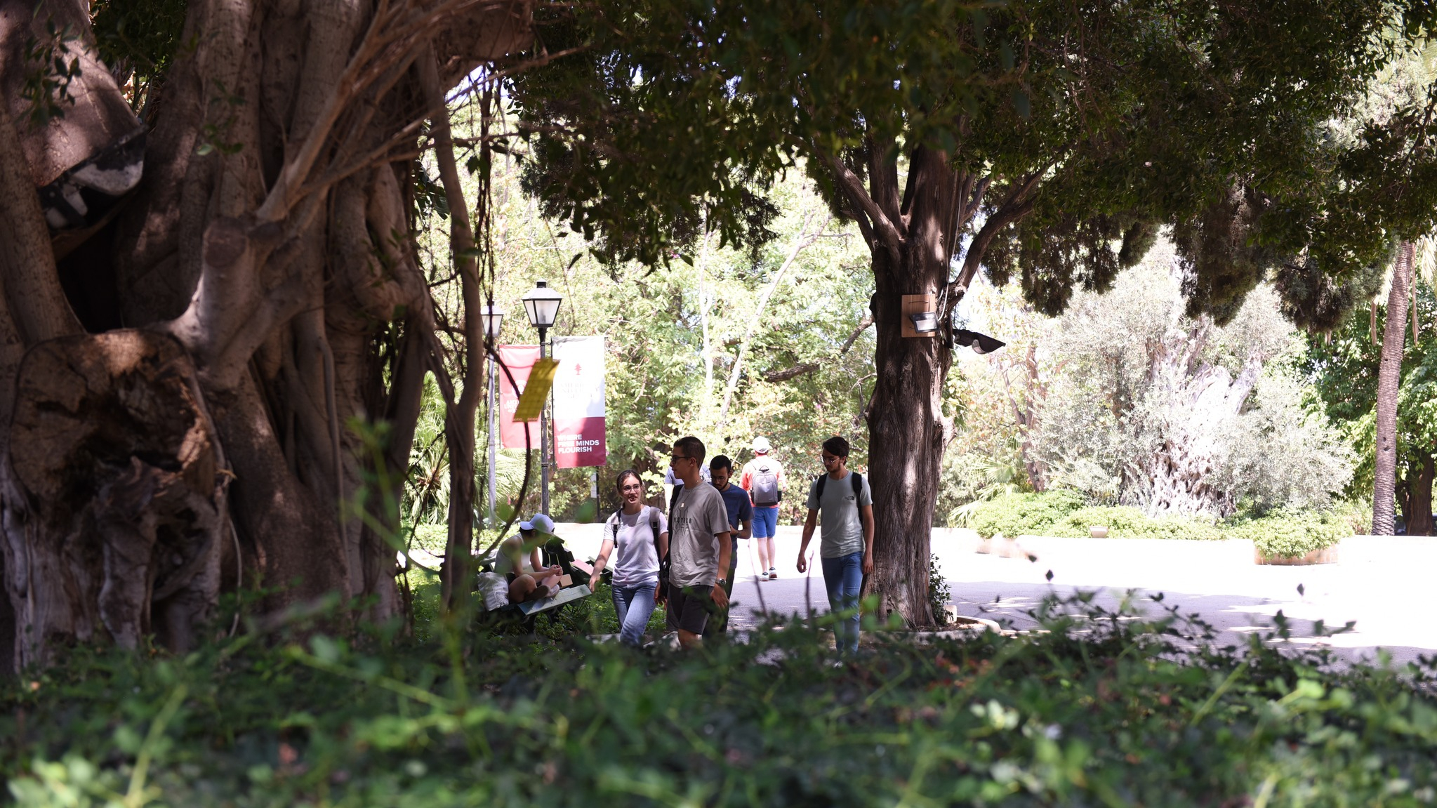 “Kulluna Lil-Watan” Initiative: Students Unite for Displaced People